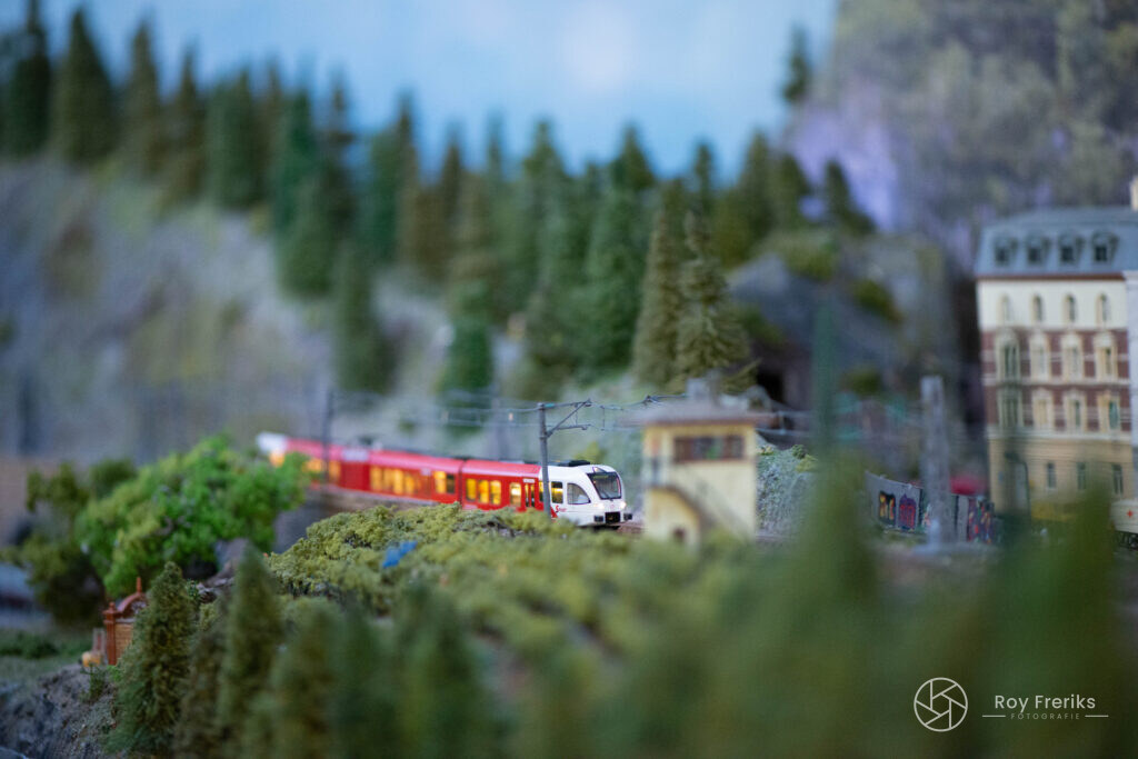 Rode miniatuurtrein tussen dennenbomen