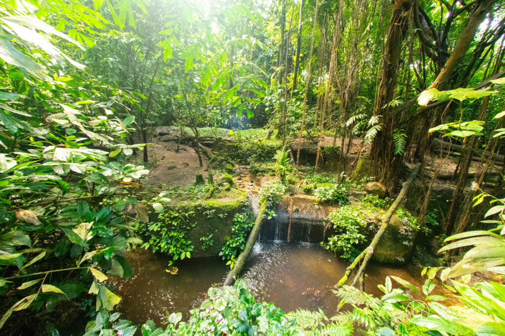 Waterval in de tropische Bush-hal