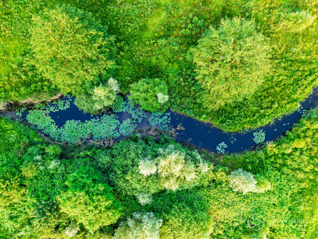 Luchtfoto van een kronkelende beek tussen bomen
