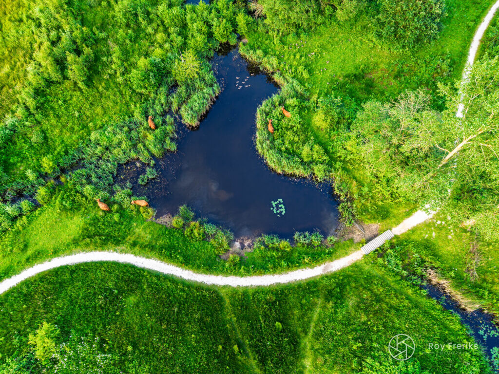 Luchtfoto van een poel met wandelpad door het groen