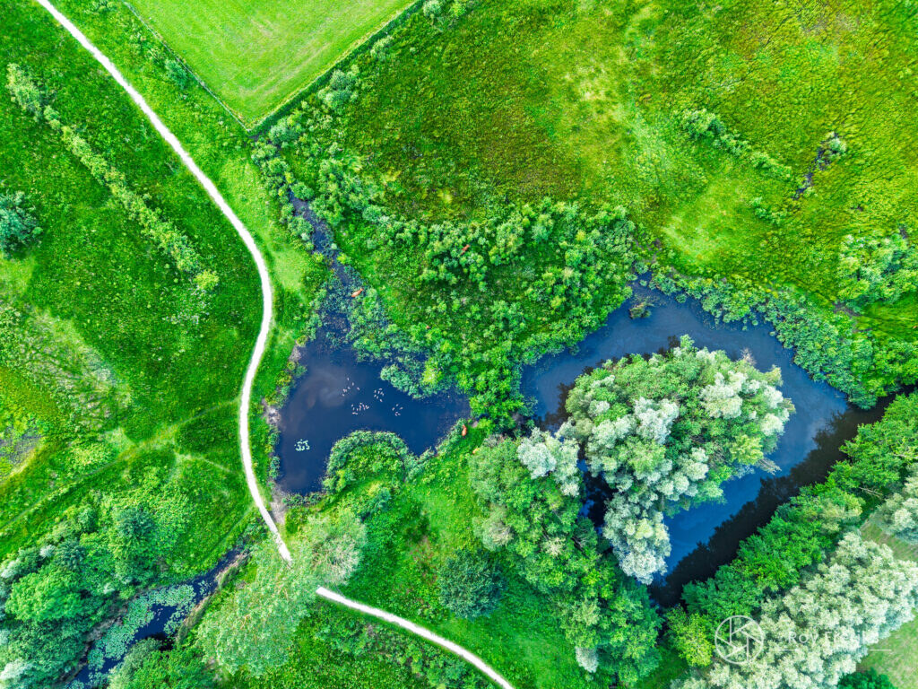 Luchtfoto van poelen en een wandelpad door groen natuurgebied