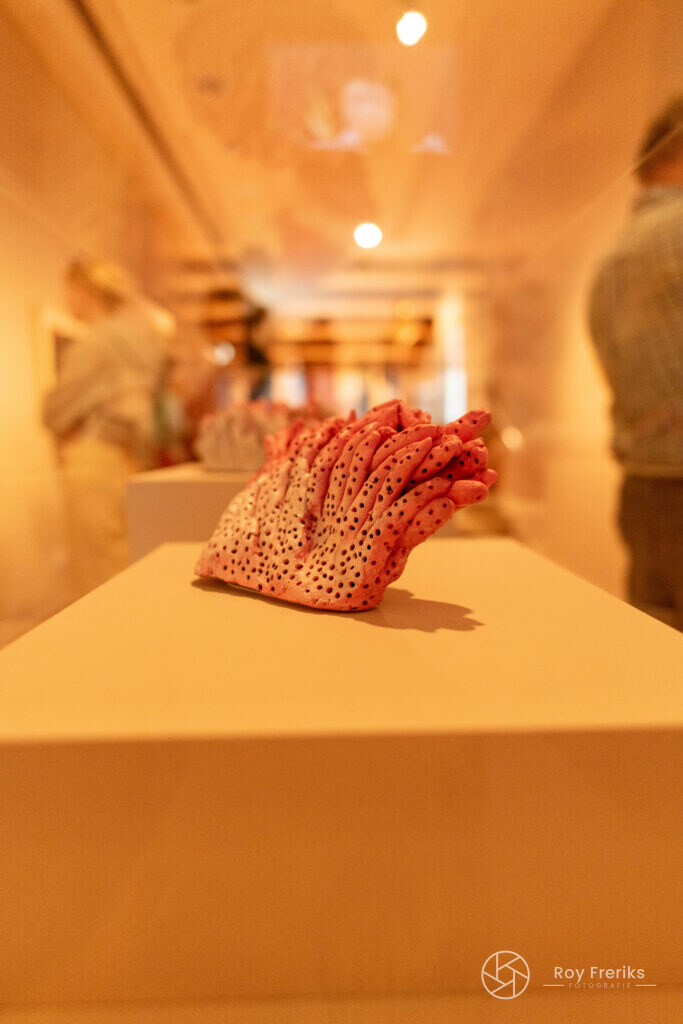 Rood koraalachtig beeld in een museumzaal