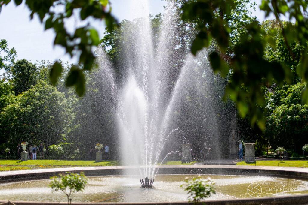 Hoge fontein in het park
