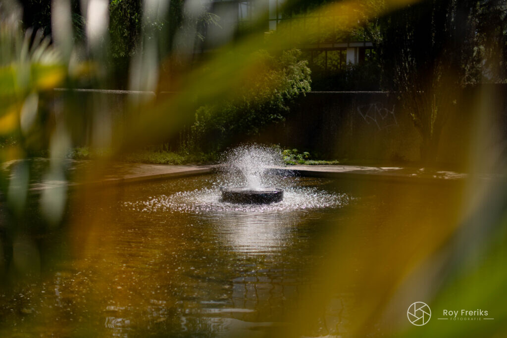 Klein fonteintje door de bladeren heen gefotografeerd