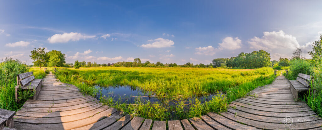 Rond panorama van een houten vlonderpad door de natuur